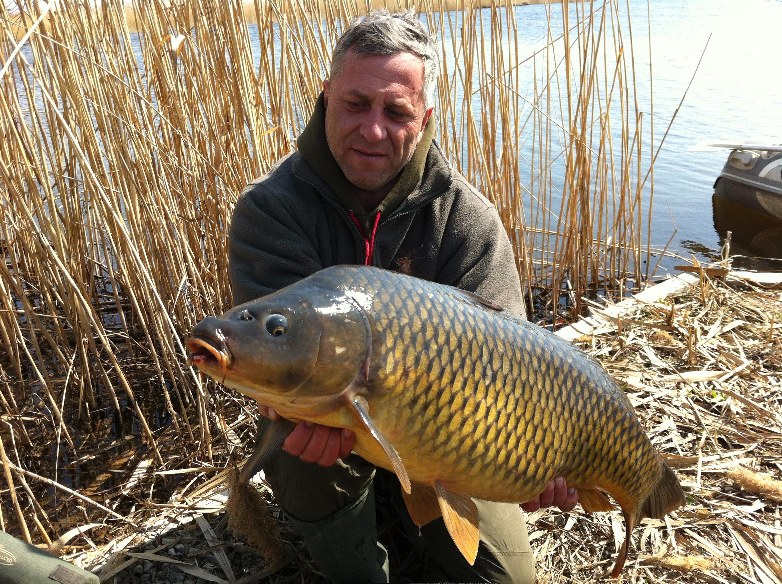 Tancabesti 2012 - aprilie 2012 013.JPG